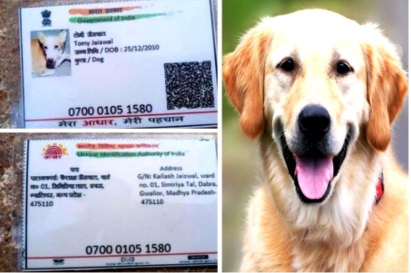 IMG_20250901_151612_258