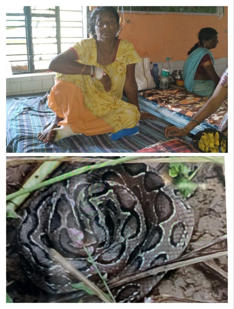 IMG_20250902_103144_742