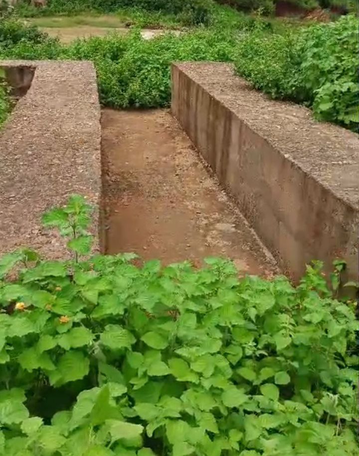 IMG_20250902_163543_642