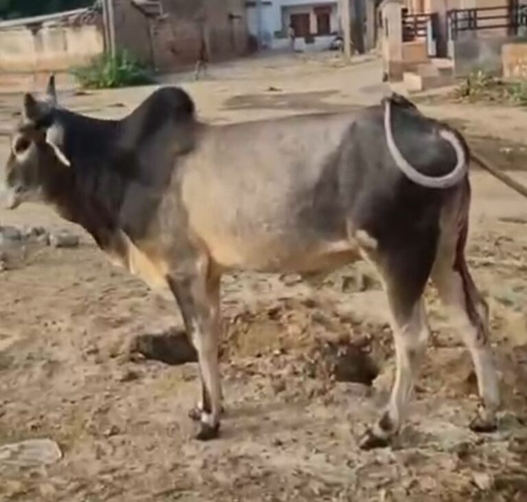 IMG_20250903_101114_011