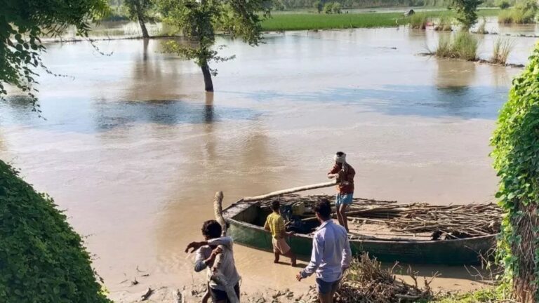 IMG_20250905_141454_228