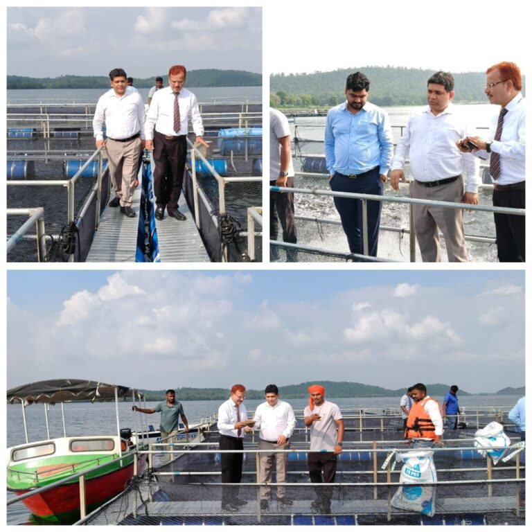 IMG_20250905_195542_340