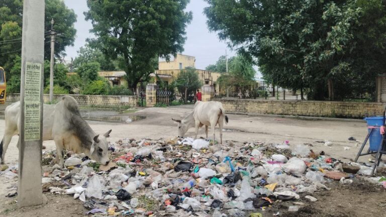 IMG_20250908_130058_958