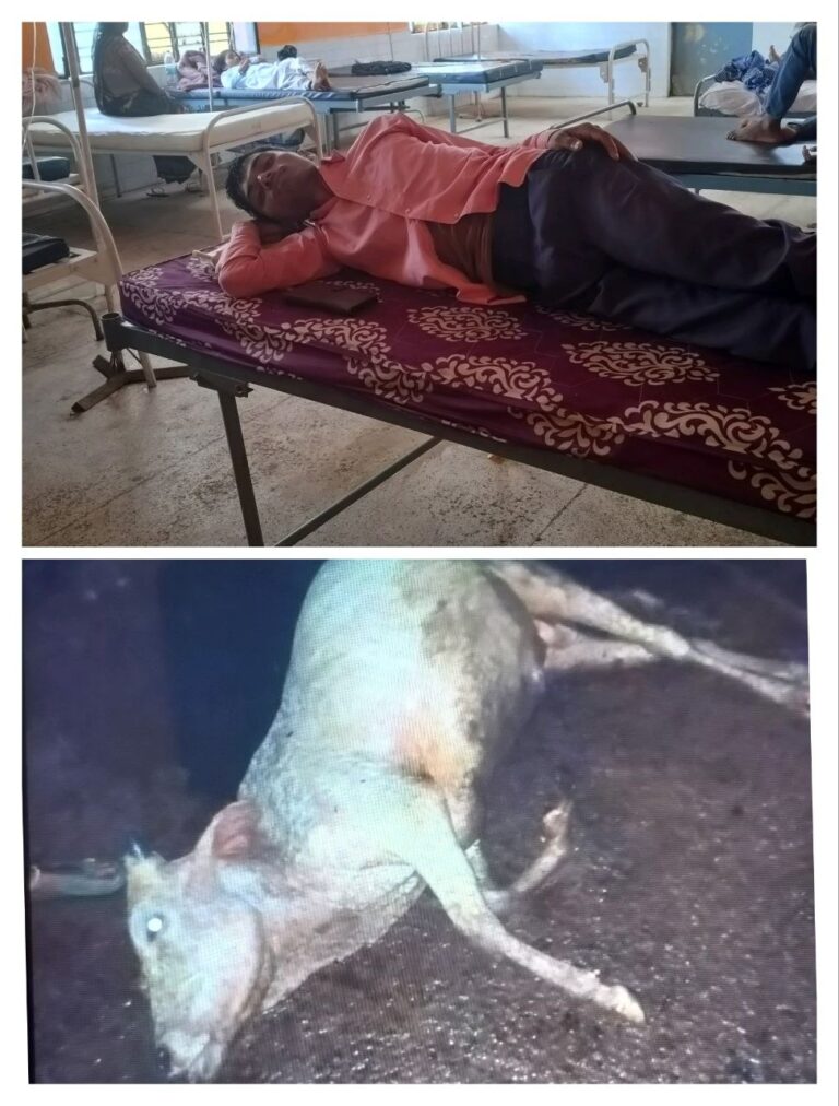 IMG_20250908_132721_709