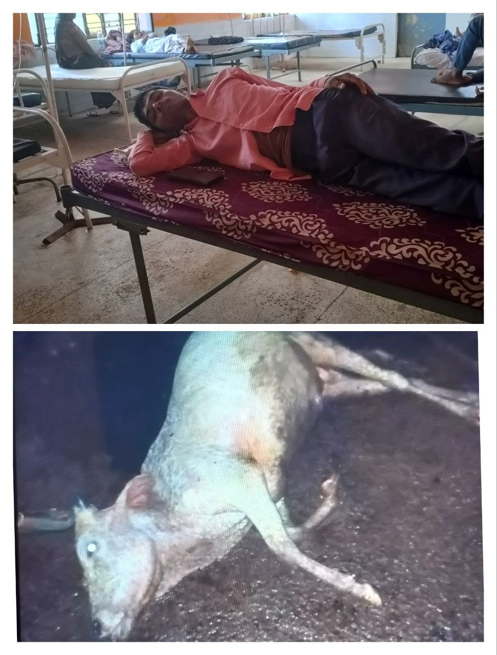 IMG_20250908_132721_709