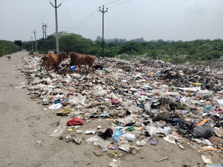 IMG_20250908_190221_767