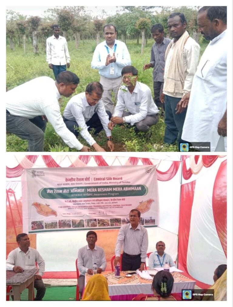 IMG_20250911_200807_488