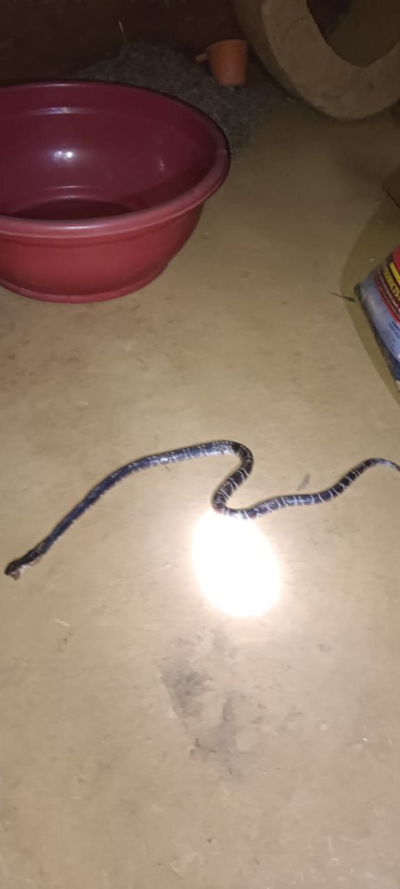 IMG_20250911_215445_708