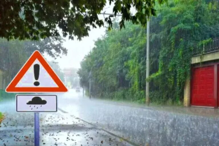 IMG_20250912_133843_392