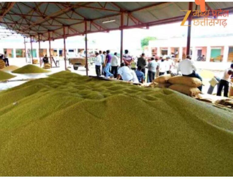 IMG_20250919_184247_372