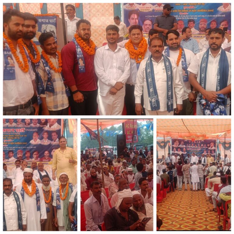 IMG_20250920_121151_362