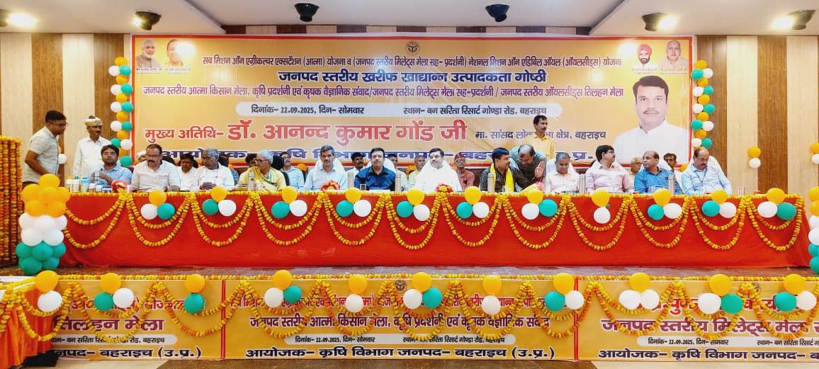 IMG_20250922_200018_279