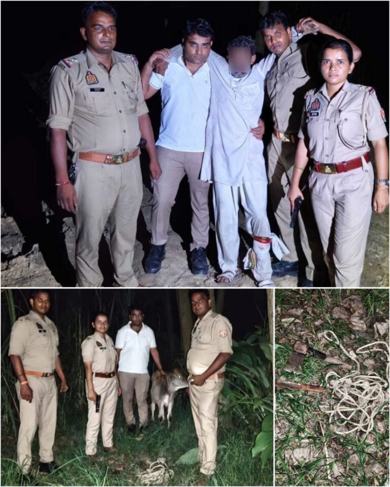 IMG_20250925_082328_330