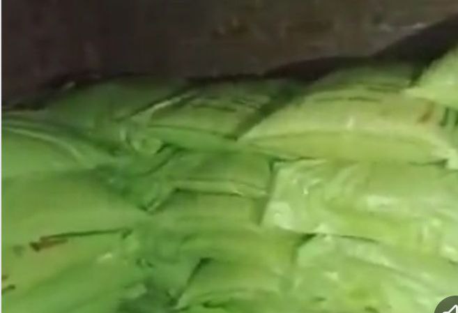 IMG_20250925_211831_428