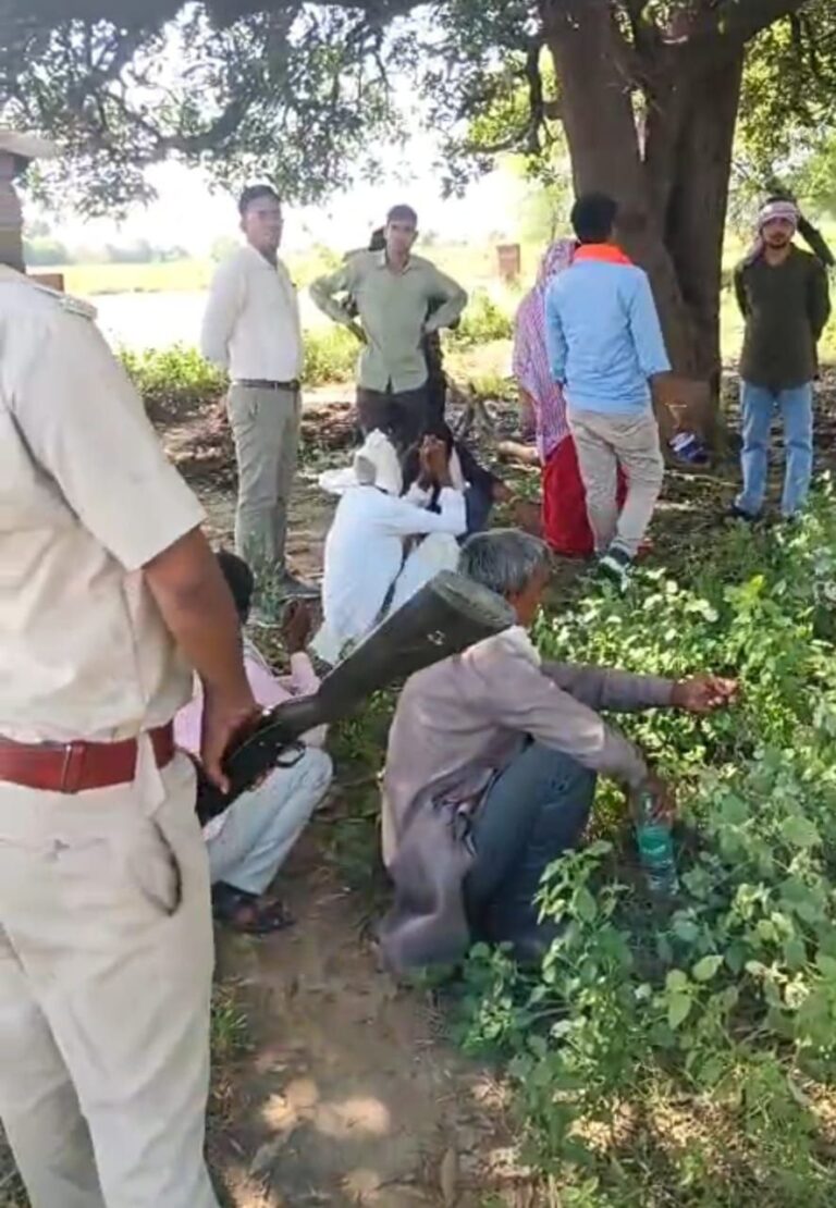 IMG_20250926_124112_399