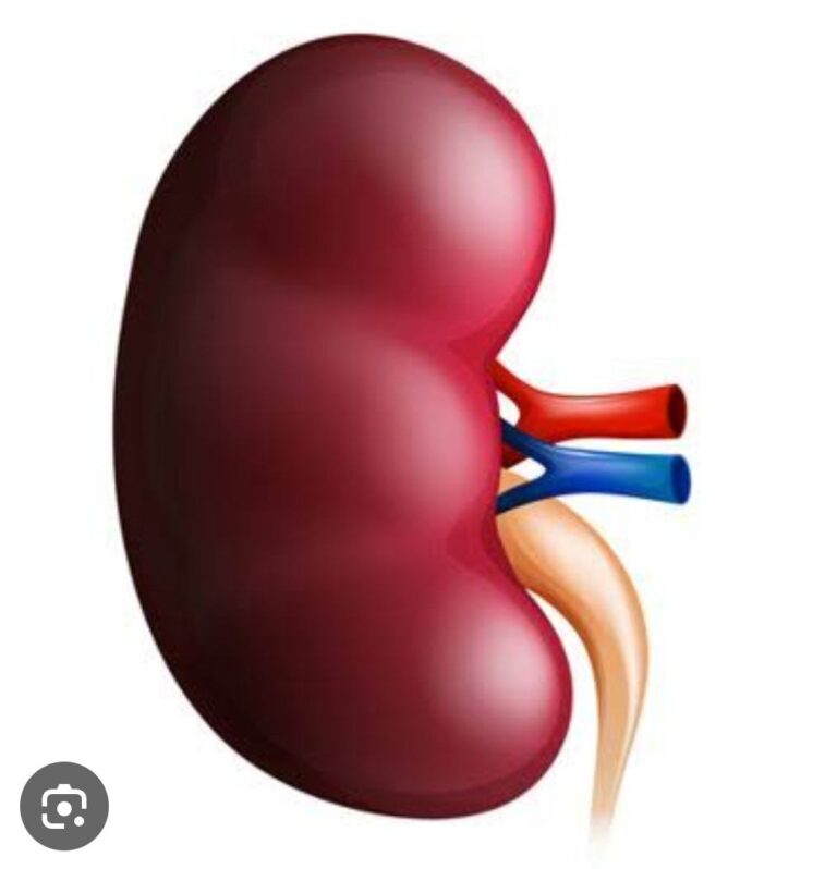 IMG_20250930_145720_382