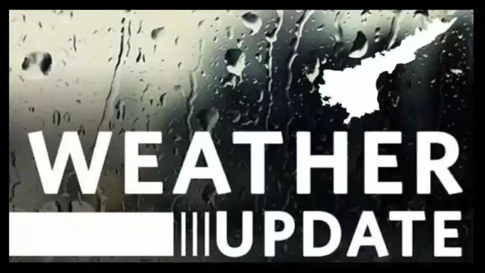 IMG_20251001_104912_410