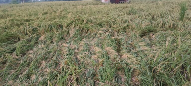 IMG_20251001_183743_112