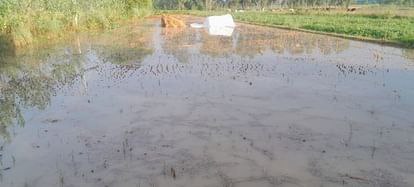 IMG_20251003_123353_148