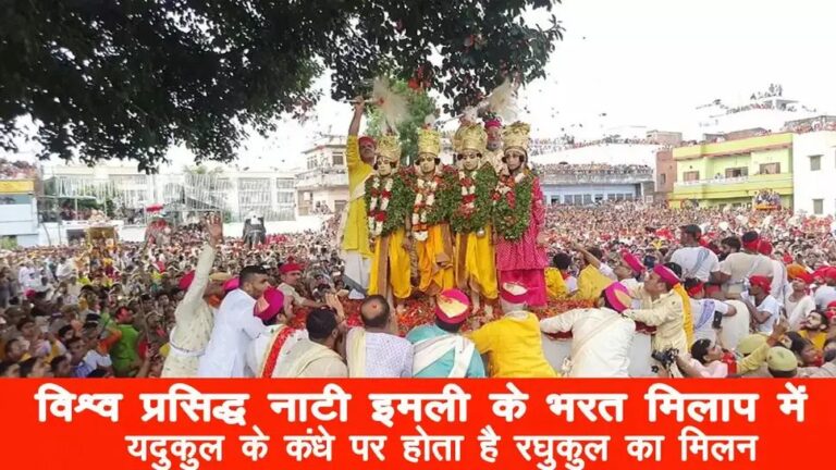 IMG_20251003_174800_847