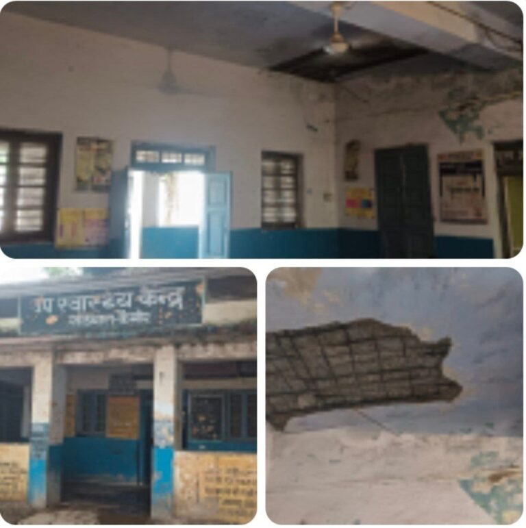 IMG_20251004_082556_153