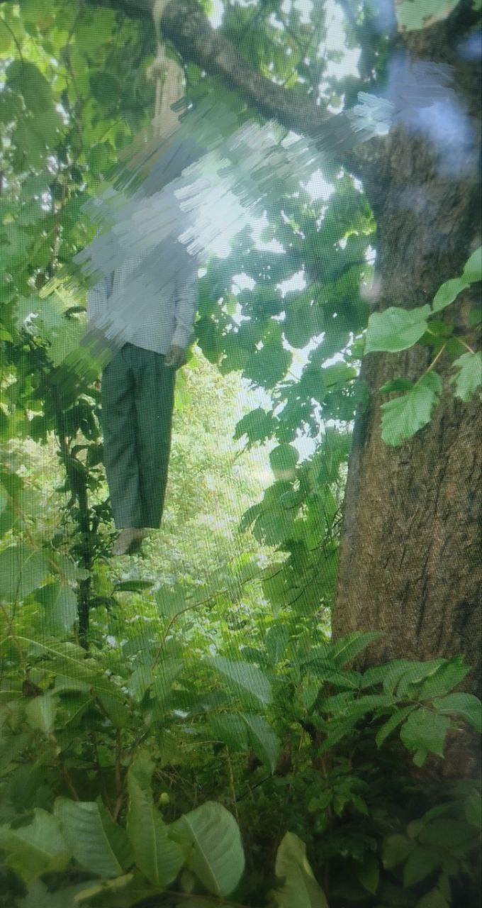 IMG_20251004_170717_860