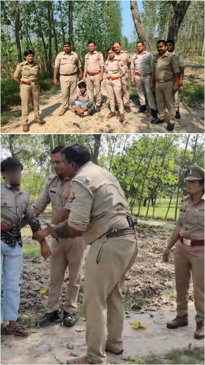 IMG_20251004_195615_334