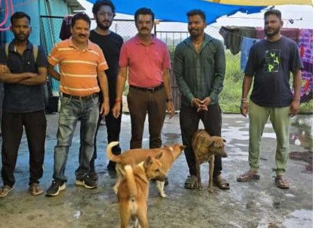 IMG_20251006_125912_894