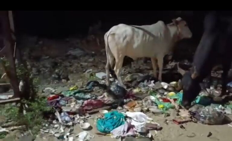 IMG_20251006_131256_303