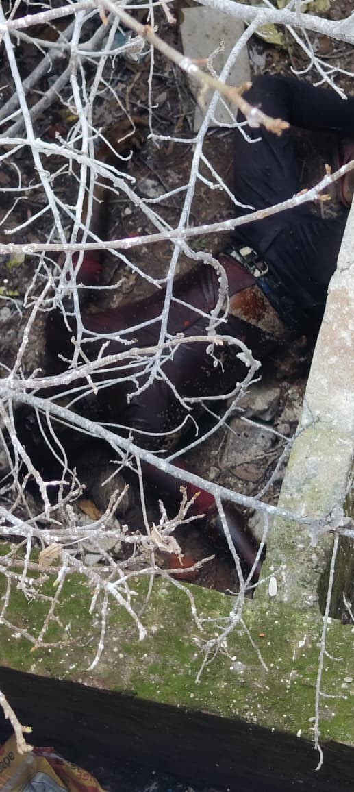 IMG_20251006_181815_574