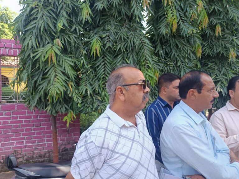 IMG_20251008_135654_316