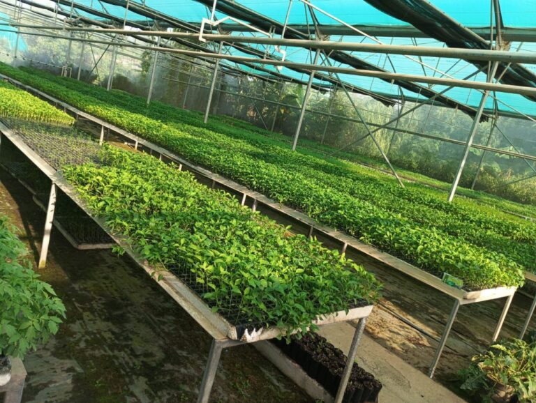 IMG_20251008_190621_363