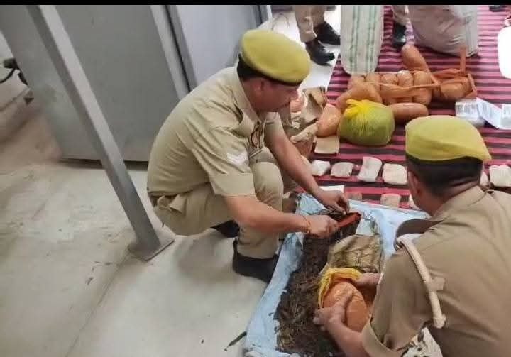 IMG_20251009_150059_196