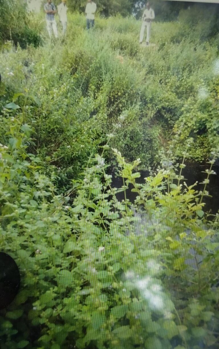 IMG_20251010_195156_774