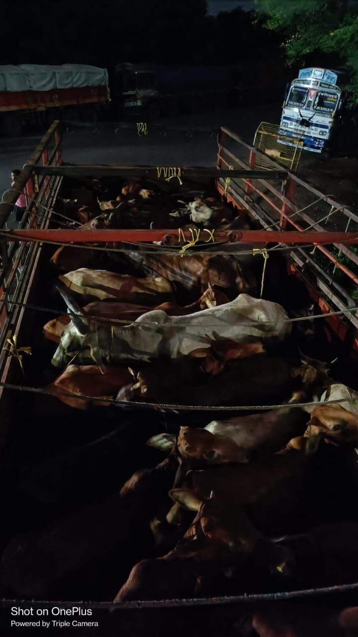 IMG_20251010_200339_290