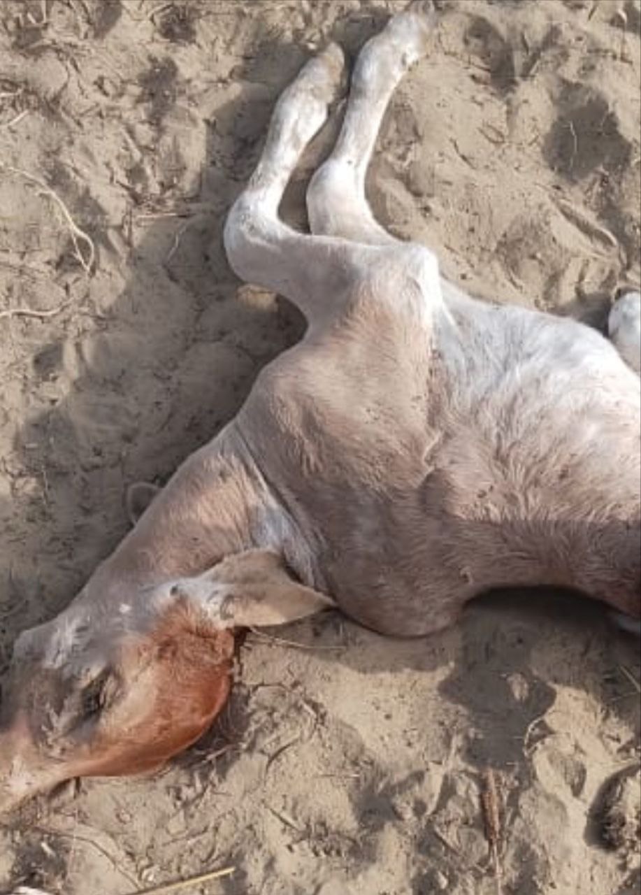 IMG_20251011_143631_098