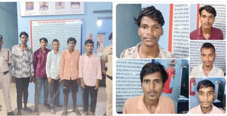 IMG_20251012_080511_459