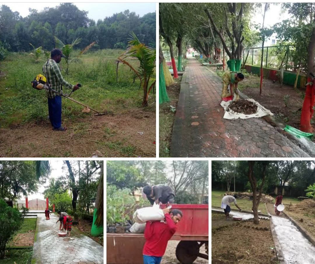 IMG_20251012_080516_075