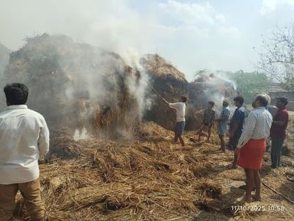 IMG_20251012_114237_397