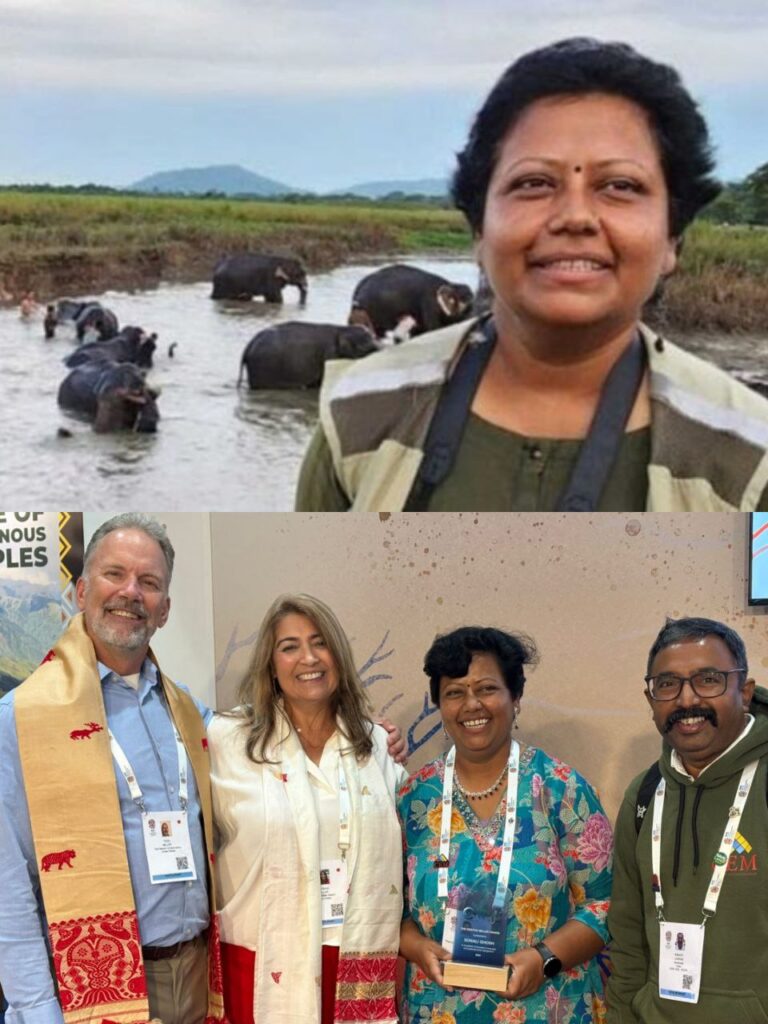 IMG_20251012_160353_699