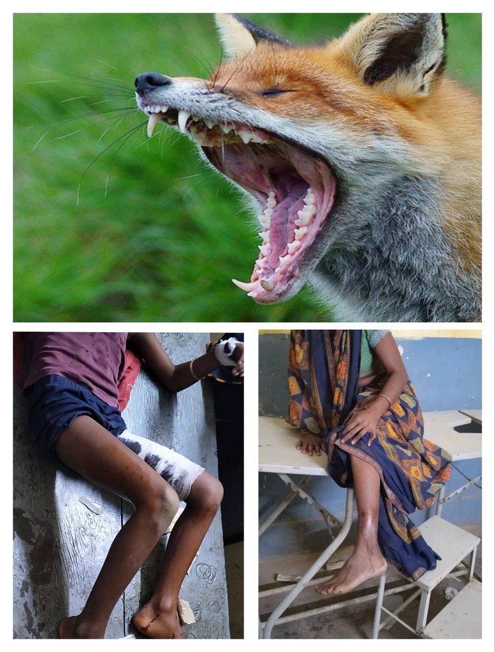 IMG_20251013_180439_433