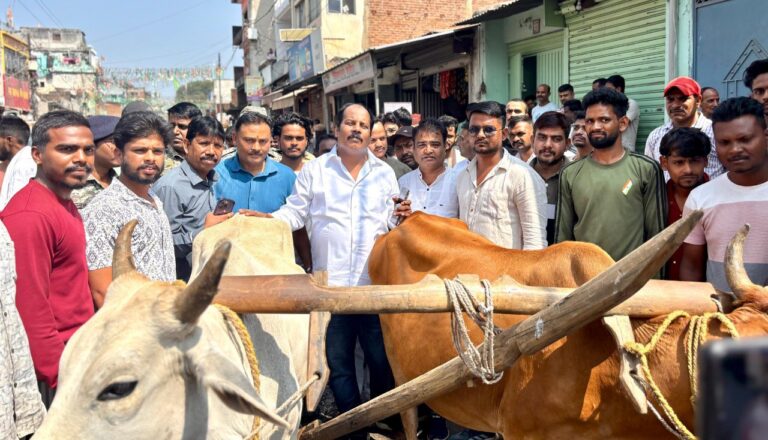 IMG_20251013_185408_822