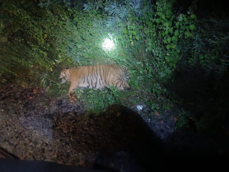 IMG_20251014_191851_290