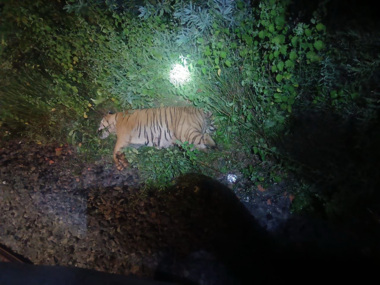 IMG_20251014_191851_290