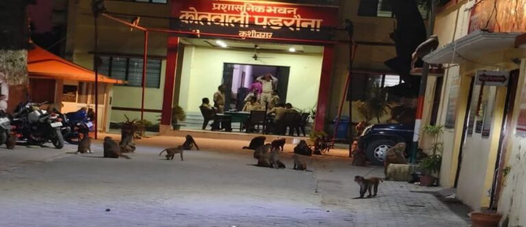 IMG_20251014_224117_216