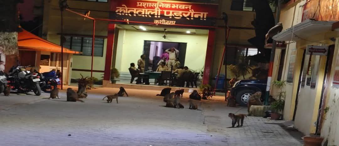 IMG_20251014_224117_216