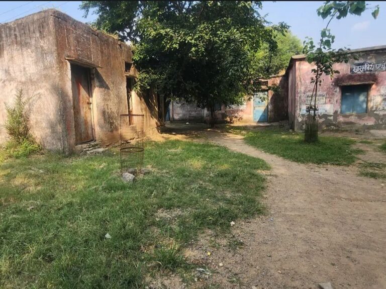 IMG_20251015_134917_395