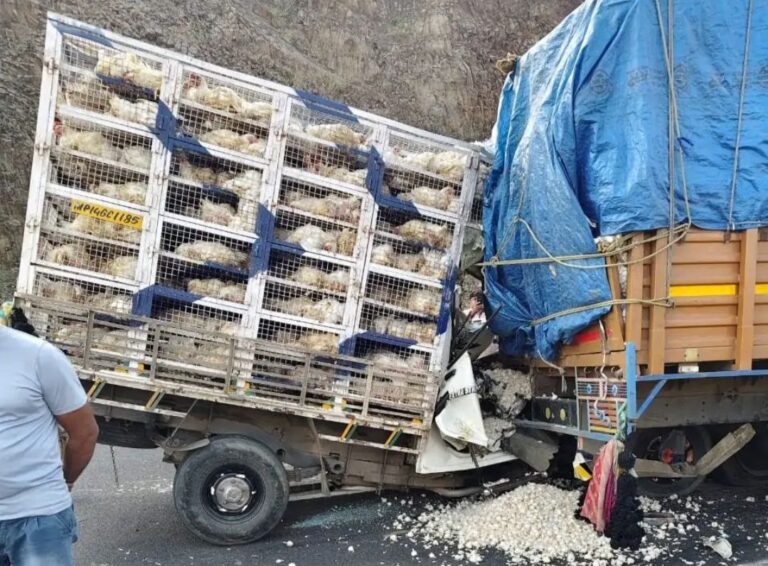 IMG_20251015_134919_814