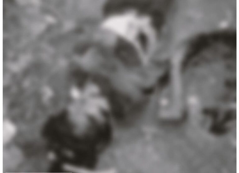 IMG_20251015_202349_650