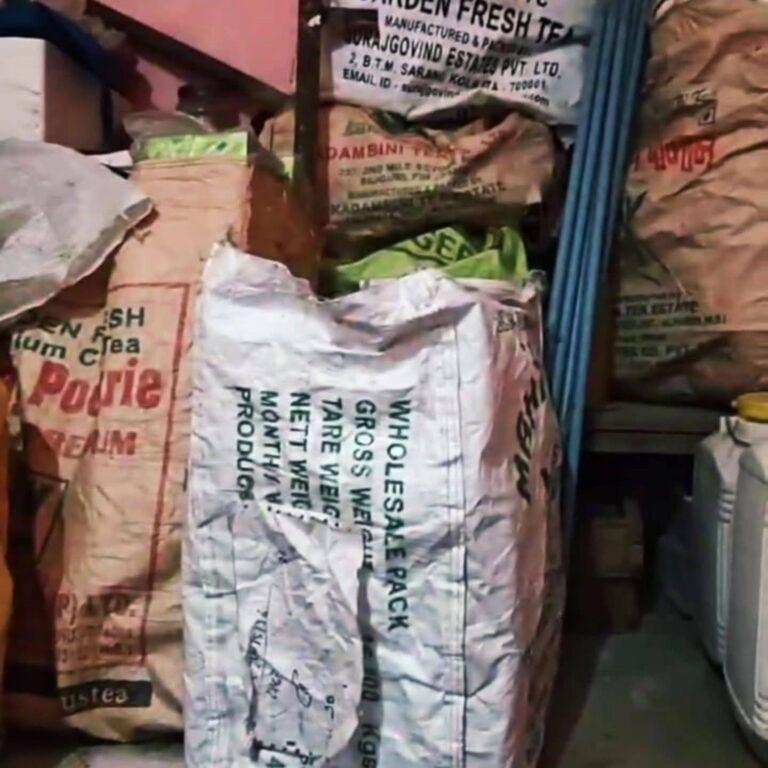 IMG_20251016_080453_261